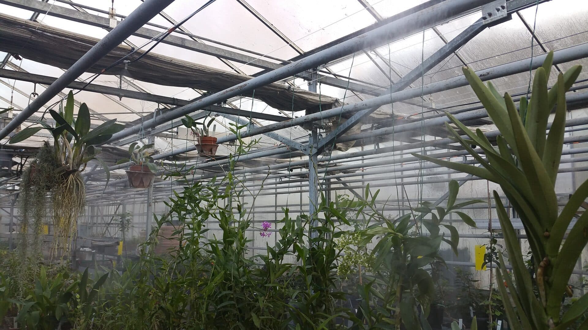 Agriculture 2