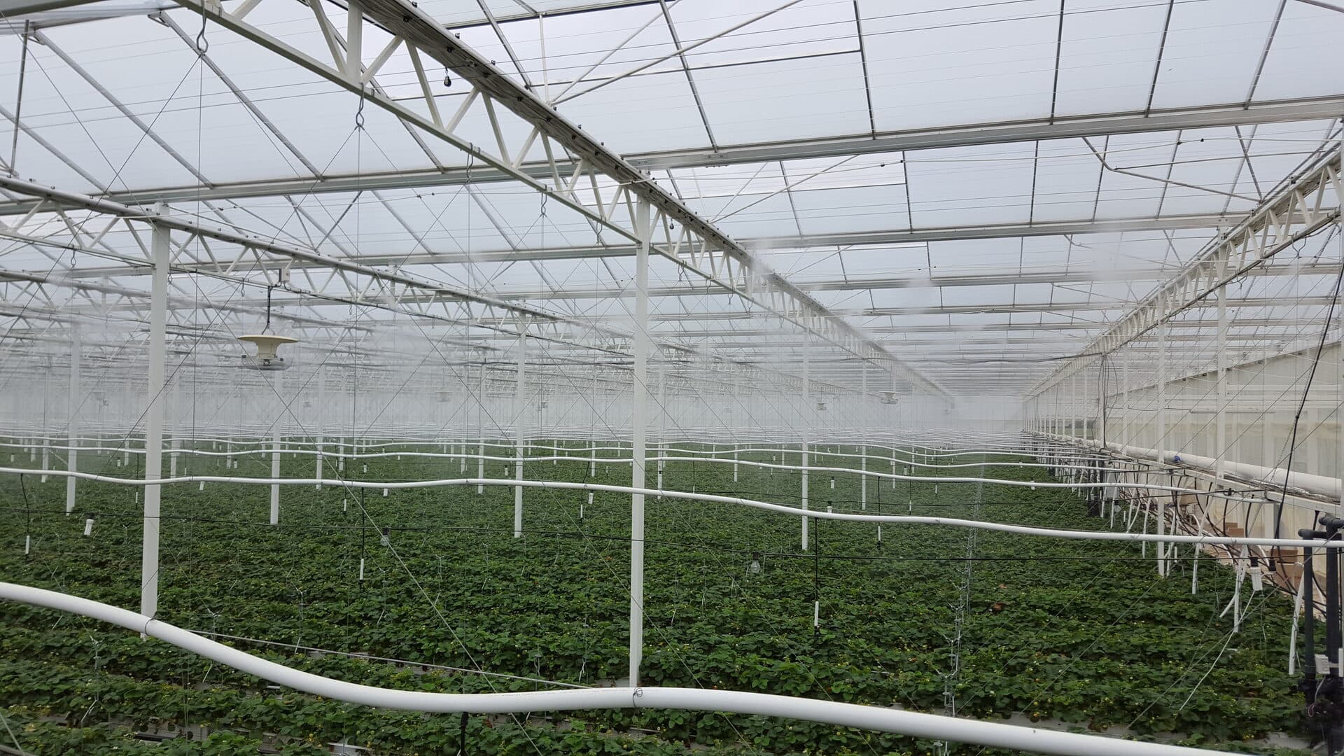 Agriculture 1